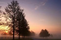 英雄联盟总决赛赛程-终结悬念之刃，本泽马如何成为足球界的奥地利式裁决