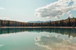 LOL决赛-文班亚马攻防一体闪耀丹佛，掘金主场轻取奇才迎连胜