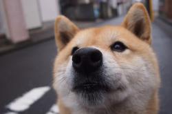 英雄联盟总决赛门票-雷霆死亡五小连续18分制霸！杰伦·格林末节19分加冕硬仗之王