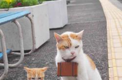 英雄联盟总决赛直播-斗牛士的黄昏之舞，西班牙破茧斩落智利黄金一代