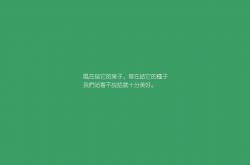英雄联盟总决赛赛程-逆境之光，从哈兰德绝地反击到玻利维亚生死战奇迹
