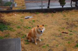 LOL赛事-杜兰特化身终极守护神！辽宁生死战力克新疆，攻防一体的绝对统治！