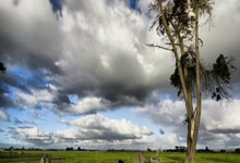 当绿茵闪电撞上绿衫铁壁!姆巴佩奥运单挑凯尔特人,数据揭秘世纪交锋