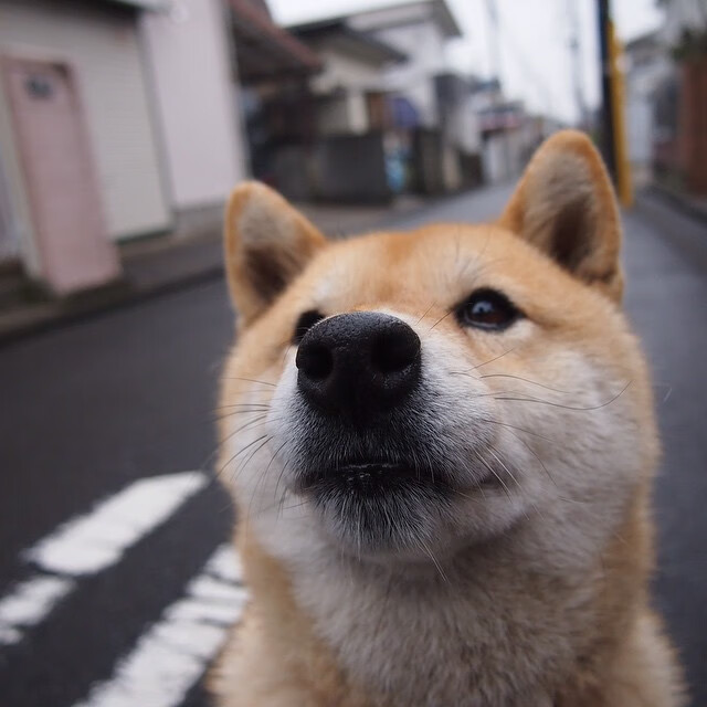 德甲争冠战之夜,奥斯梅恩,大场面先生