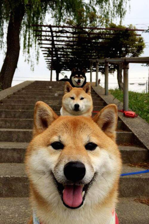 英超争冠收官冲刺如篮球决胜三分线 新疆淘汰赛过关与雄鹿启示