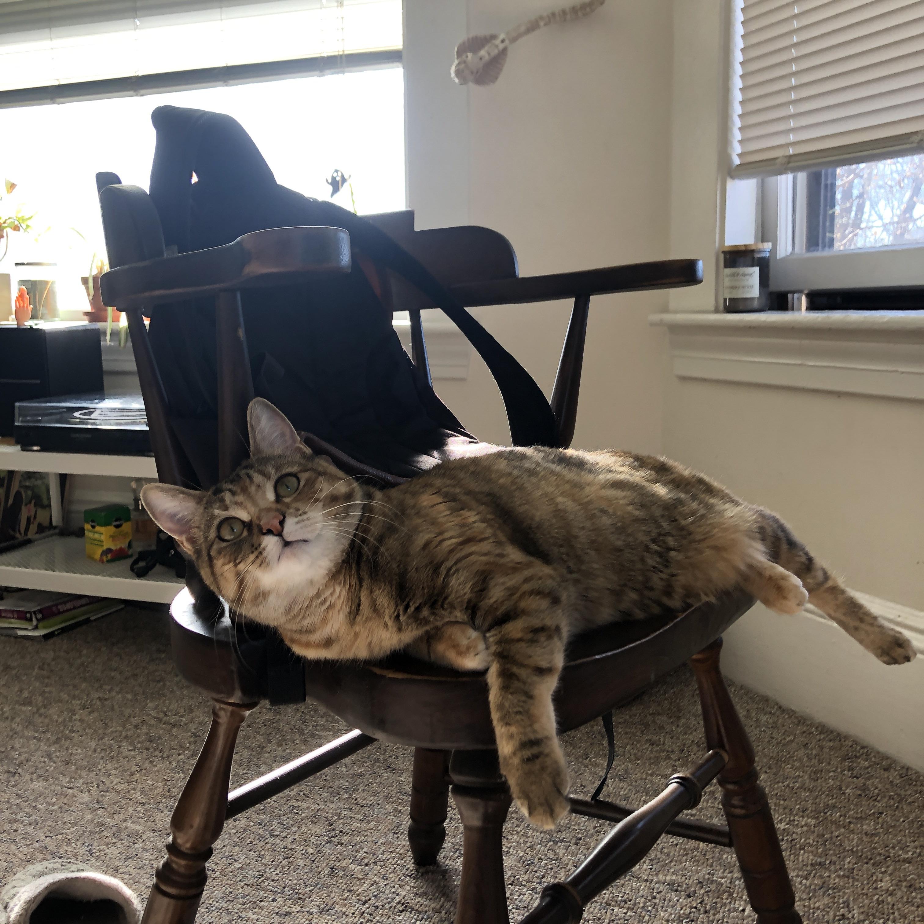 四年一遇的战场，当奥运周期关键战打响，勇士终破魔咒