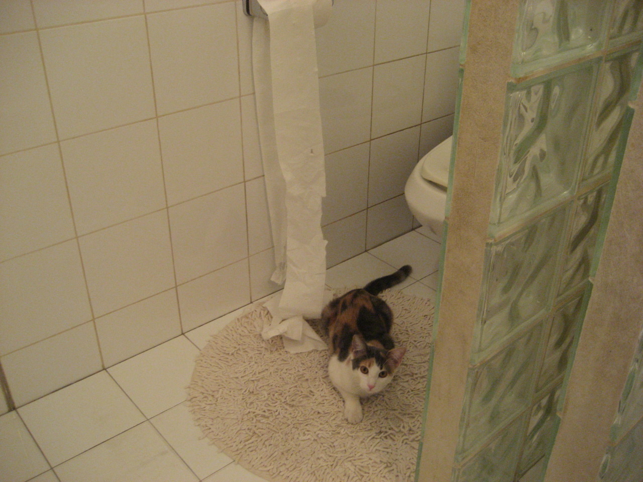 爆冷夜！新疆队掀翻联盟第一，浓眉末节15分导演逆转奇迹