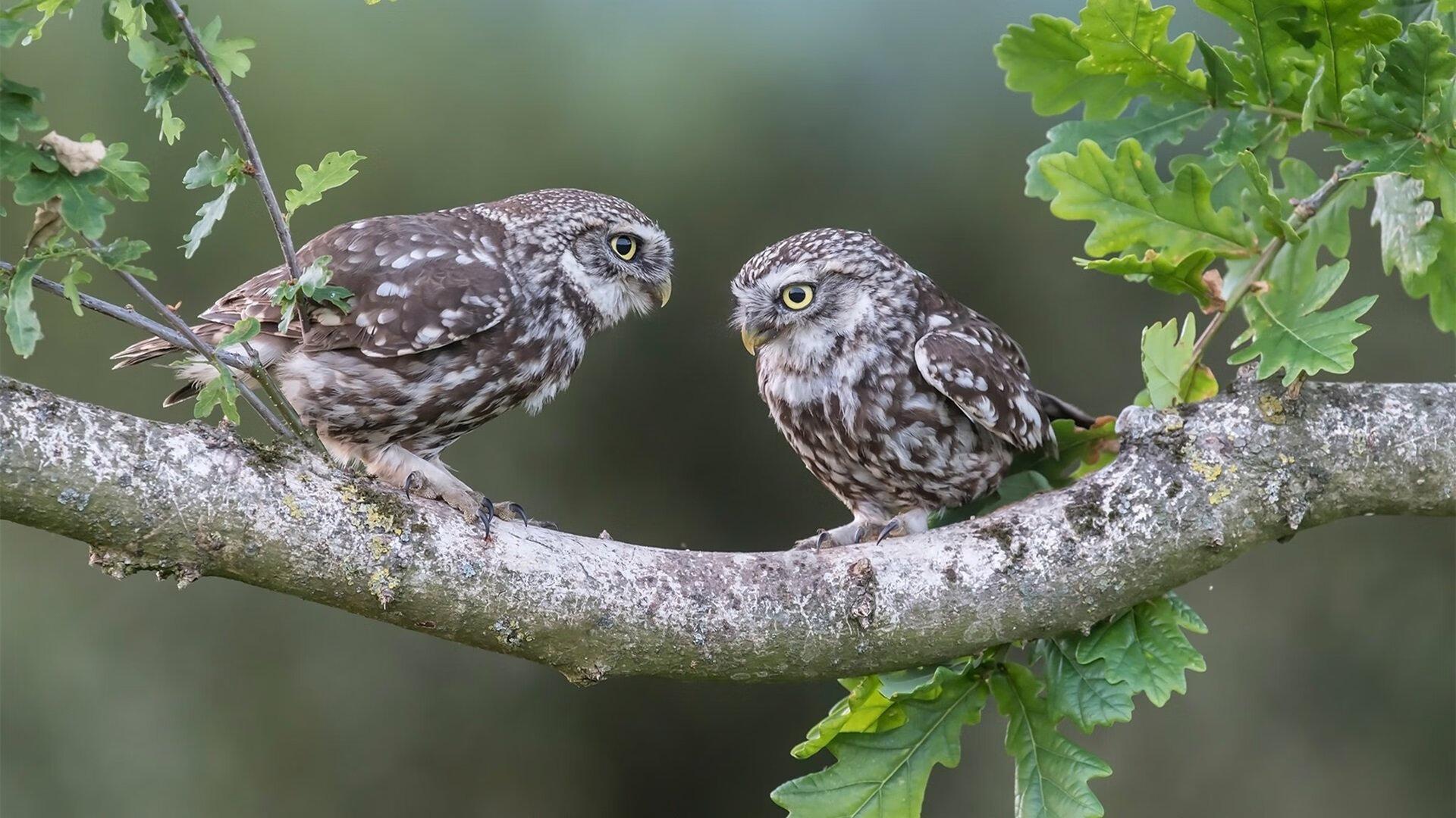 神锋附体,争冠之夜,那个不会进球的后卫决定了一切