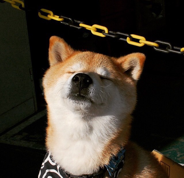 赛道与球场的终极同频,在绝杀倒计时中完成自我救赎