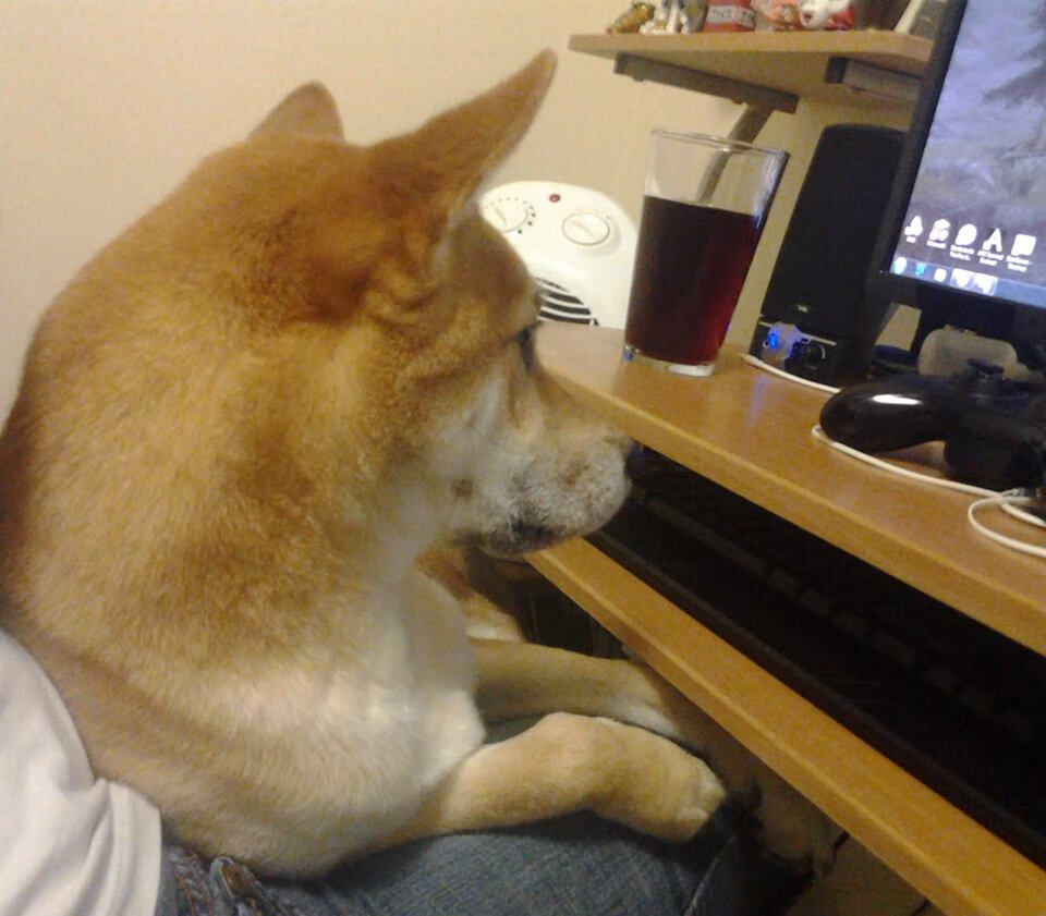 当塞维利亚的韩国巫师降临NBA，西决生死战提前终结悬念的跨界奇迹