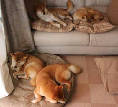 伊朗绝杀挪威？楚阿梅尼东决称王？你可能生活在体育的平行宇宙