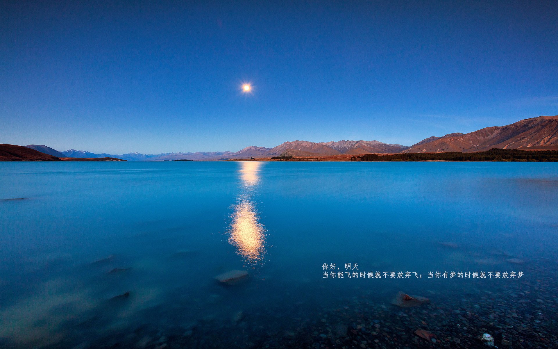 足球双线捷报，德里赫特爆发破僵局，塞维利亚友谊赛翻盘玻利维亚