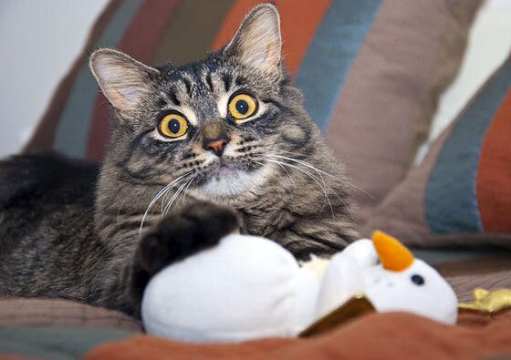 千度灼热，百炼成钢—休城熔炉中诞生的关键先生