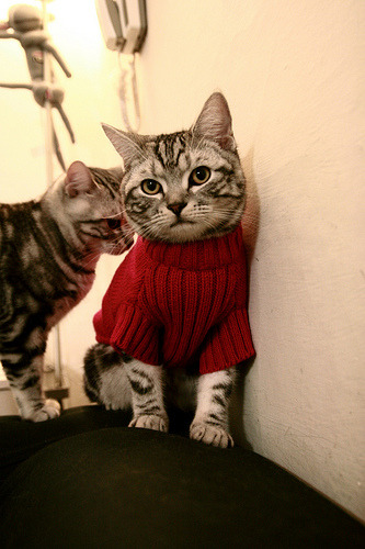 利拉德，单兵击溃防线的篮球指挥官