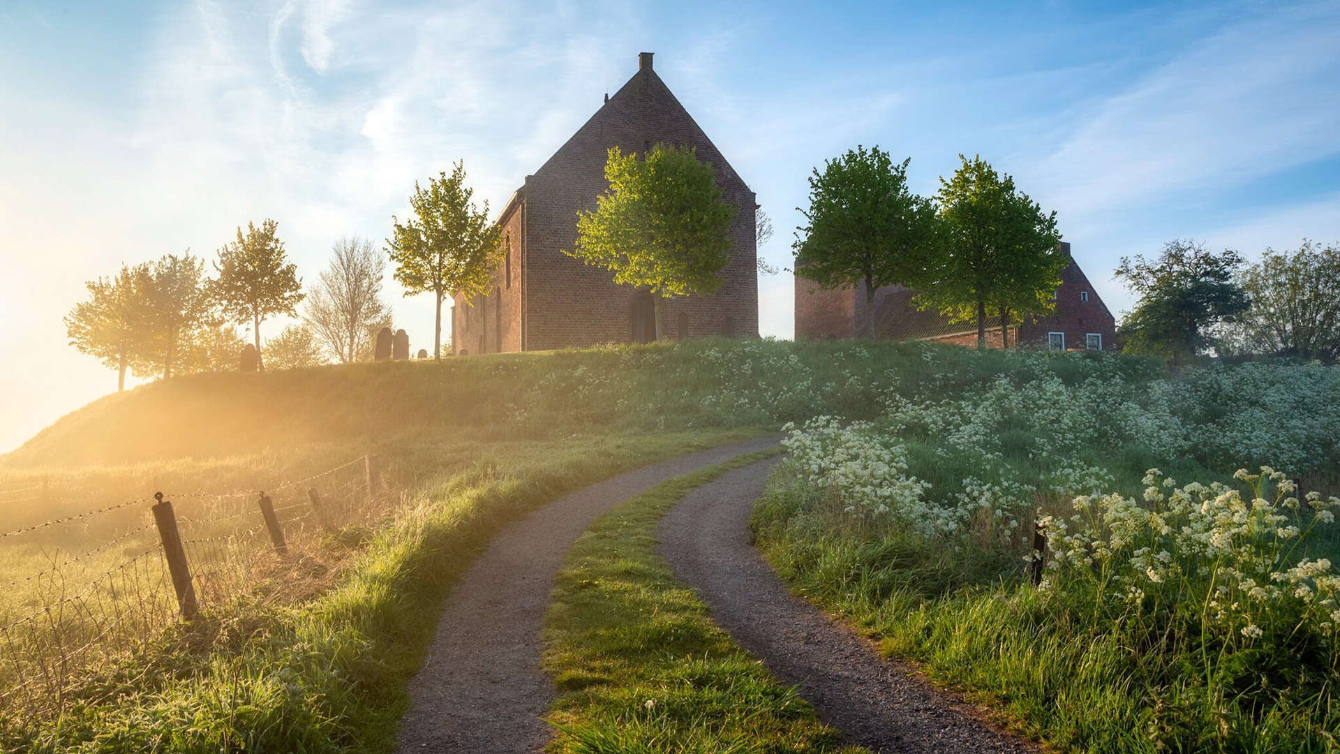 绿茵场与篮球馆的平行叙事，淘汰赛的戏剧法则