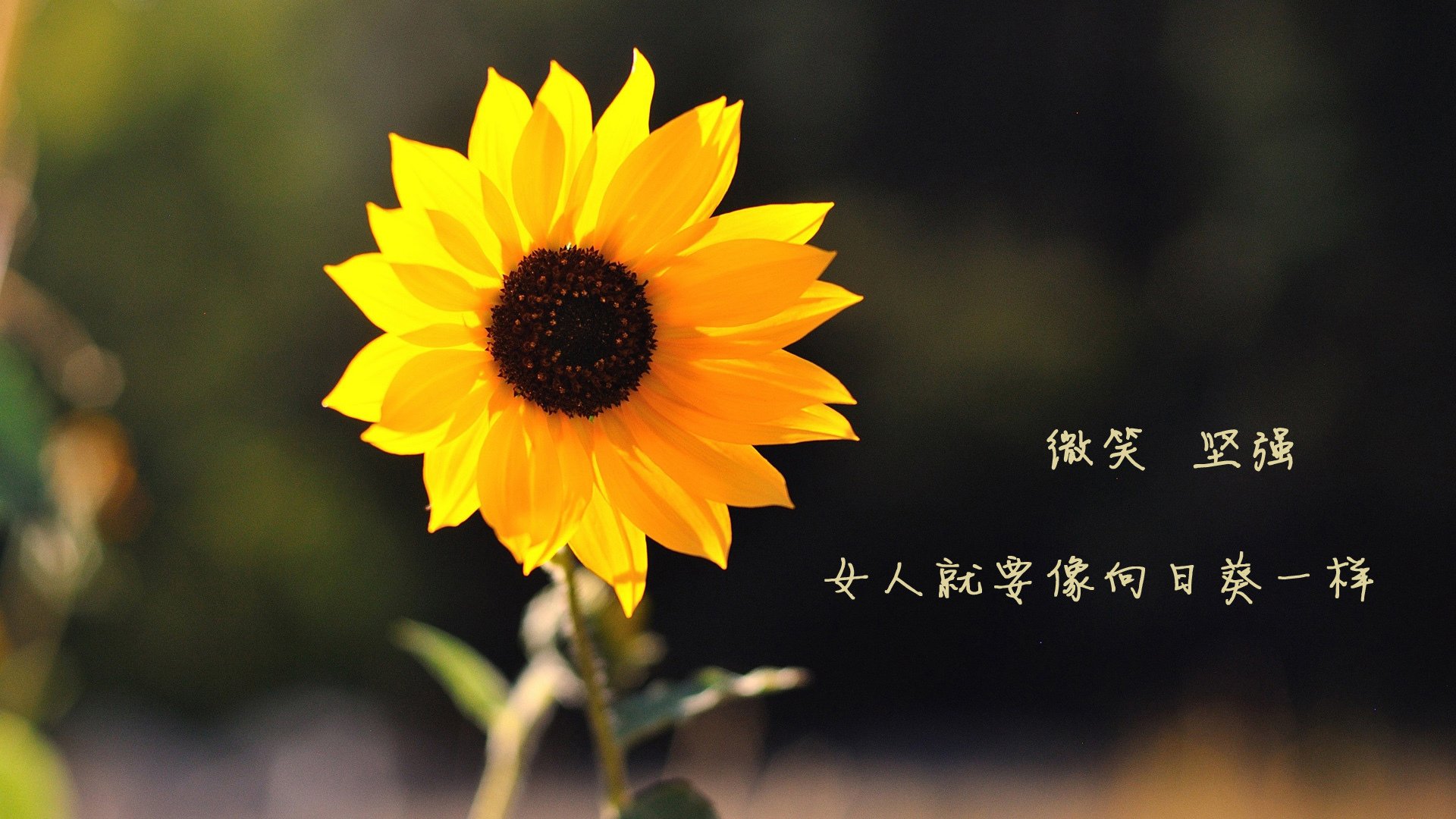 铁血智利防线锁死摩纳哥,格纳布里天神下凡一剑封喉