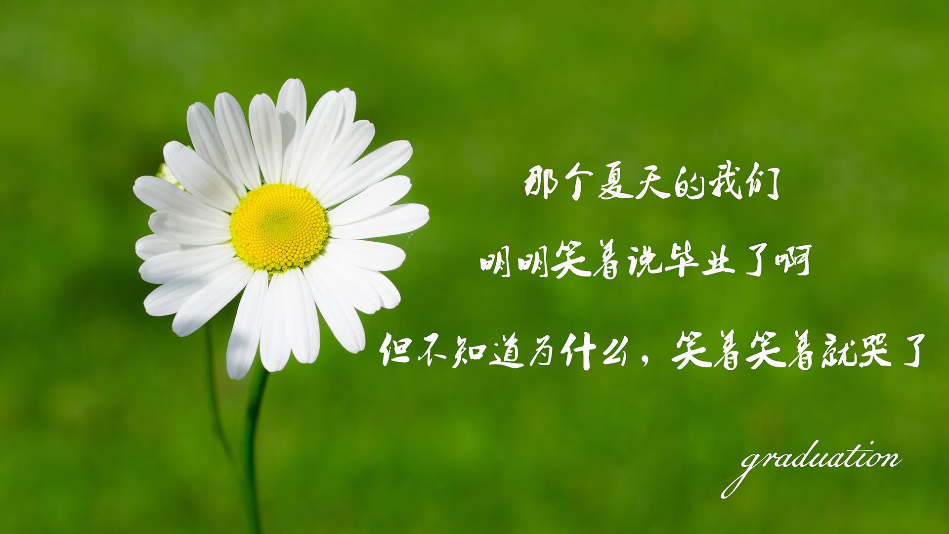 一个人的交响乐,雷恩与波兰的碰撞,莱奥封神之夜