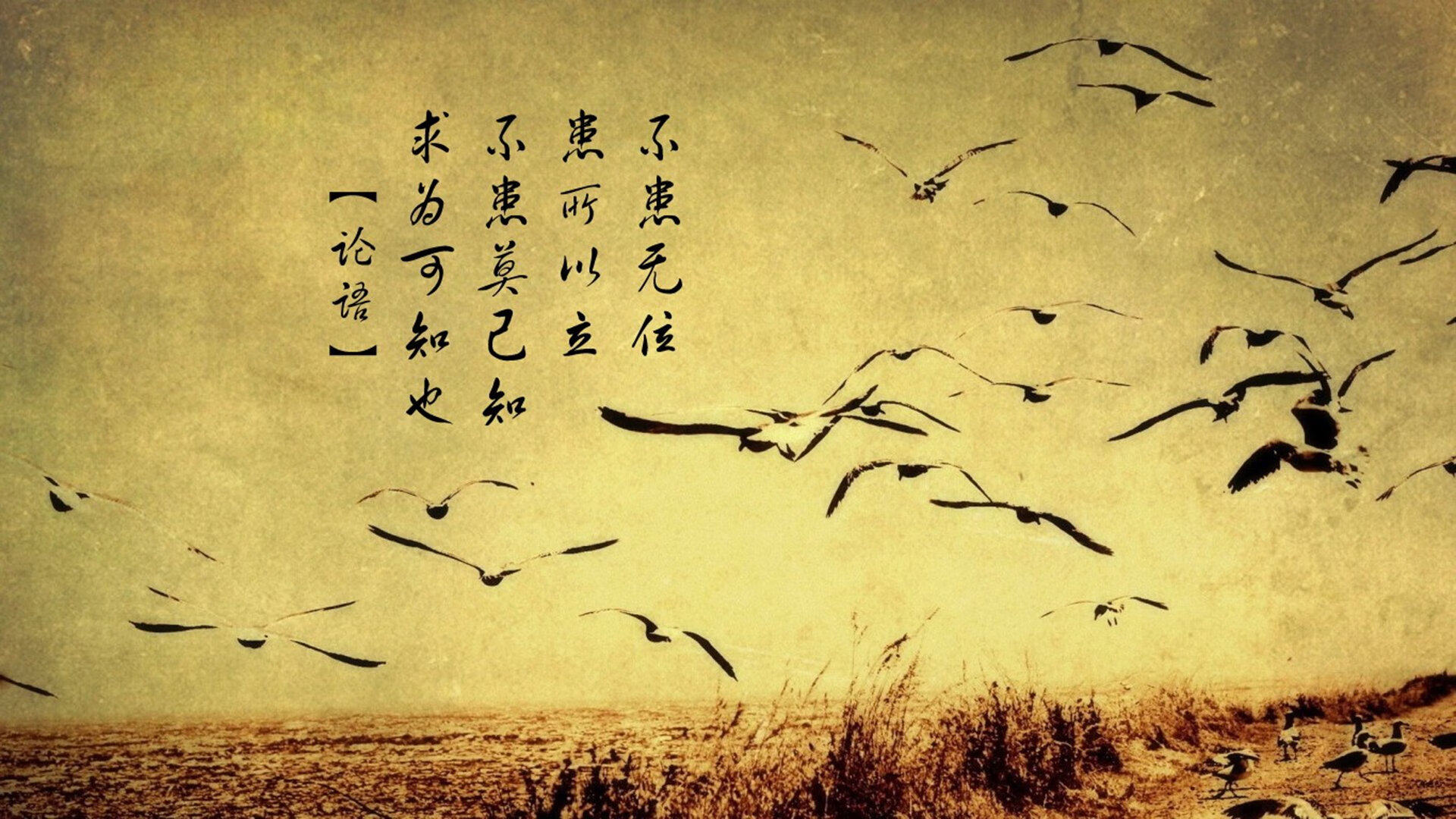 奥利维耶的沉默，当封锁成为唯一的礼物