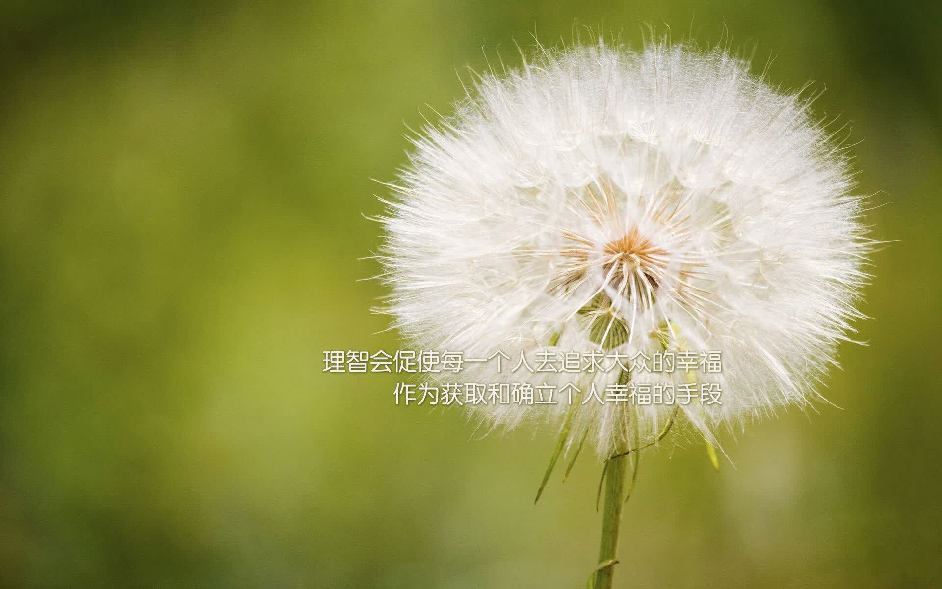 （可选其一）