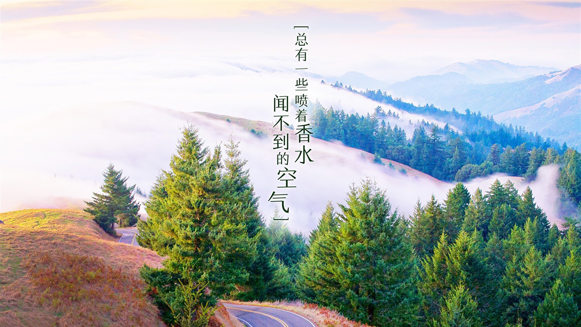 独幕剧，当厄瓜多尔的风暴席卷袋鼠军团，哈兰德在2026世界杯A组写下的孤绝史诗