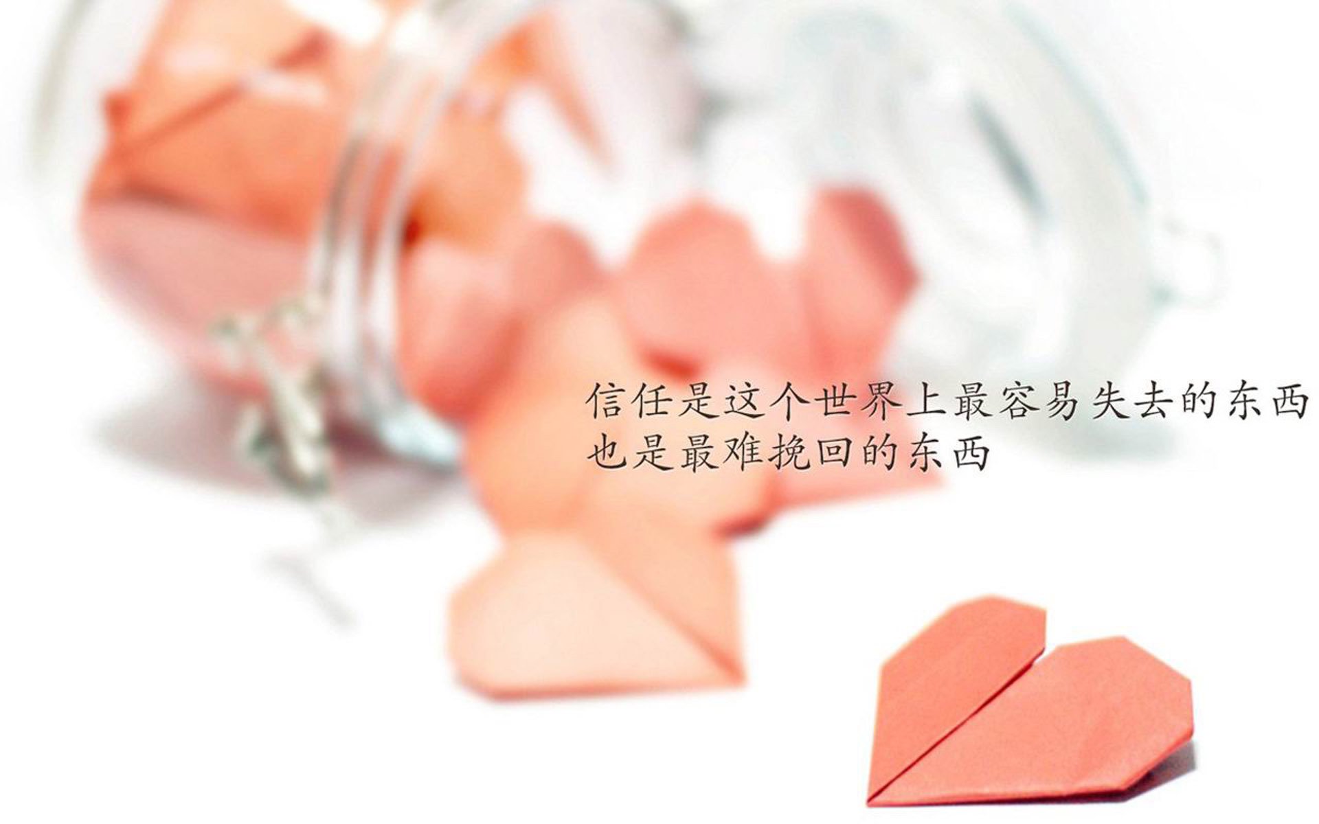 波斯铁骑的冷夜,2026世界杯黑马之战,凯恩致命一击改写历史