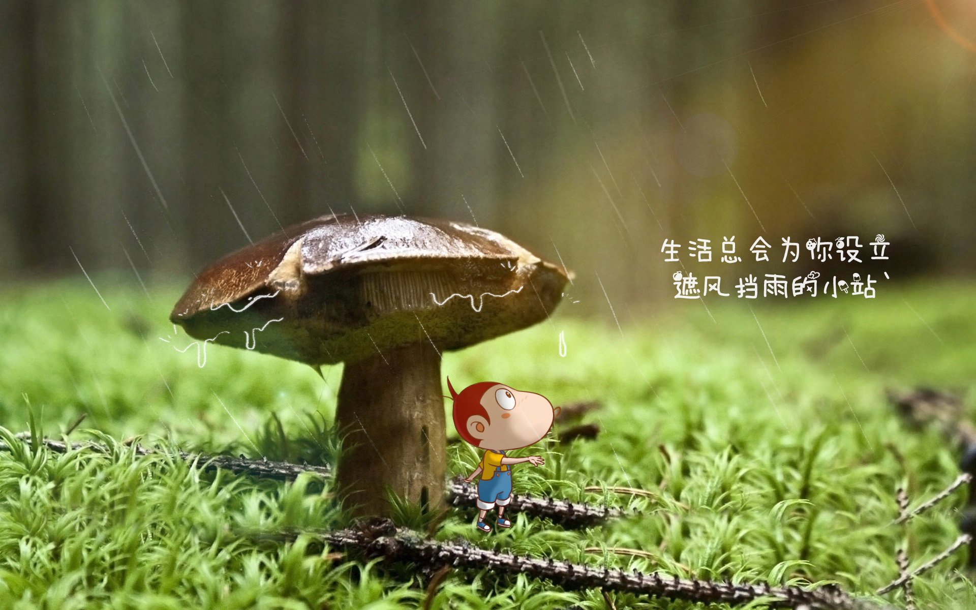 孤勇者的独白,2026世界杯H组关键战,匈牙利完胜秘鲁,吉鲁带队写下唯一剧本